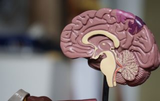 Alzheimer's and Brain Awareness Month